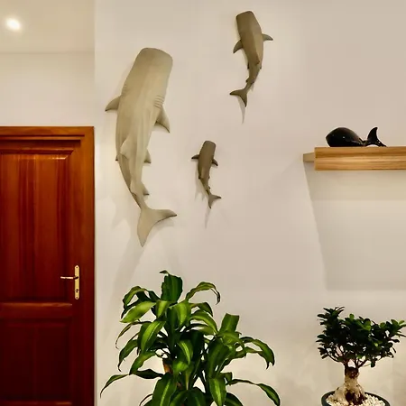 Apartament Residenza Oceano